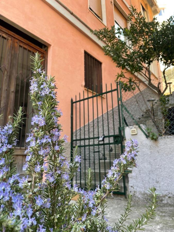 Apartment Blue Moon Riomaggiore
