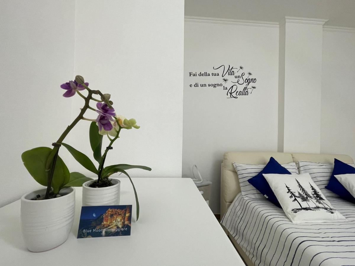 Blue Moon Apartment
